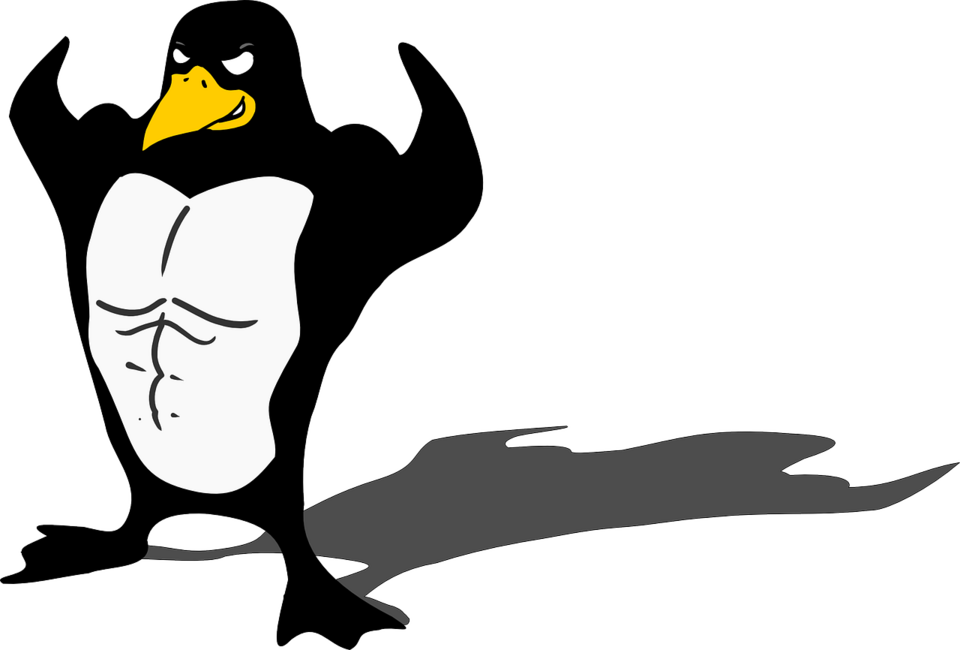 Linux Pinguin